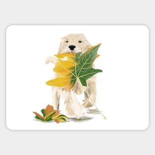 Goldren Retriever puppy Sticker